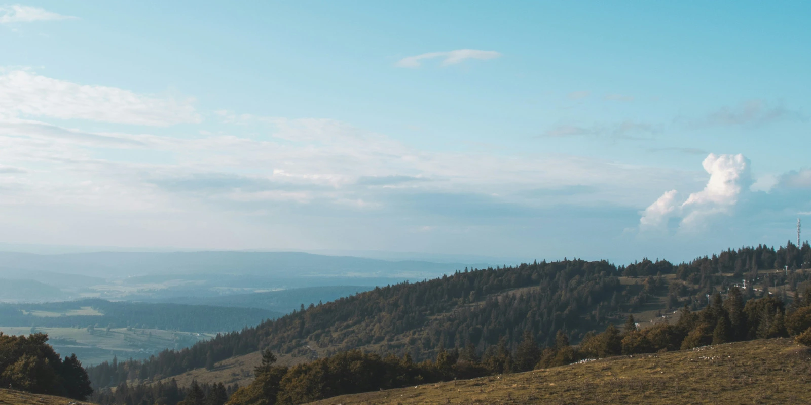 Emploi du Temps Licence Chimie : Organisation des Cours